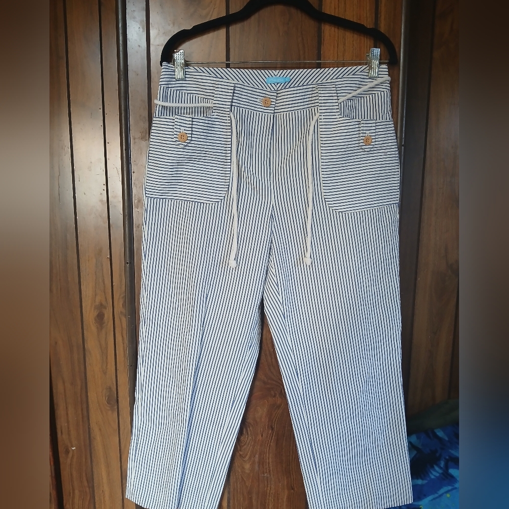 J. McLaughlin Navy and White Striped Cargo Pants